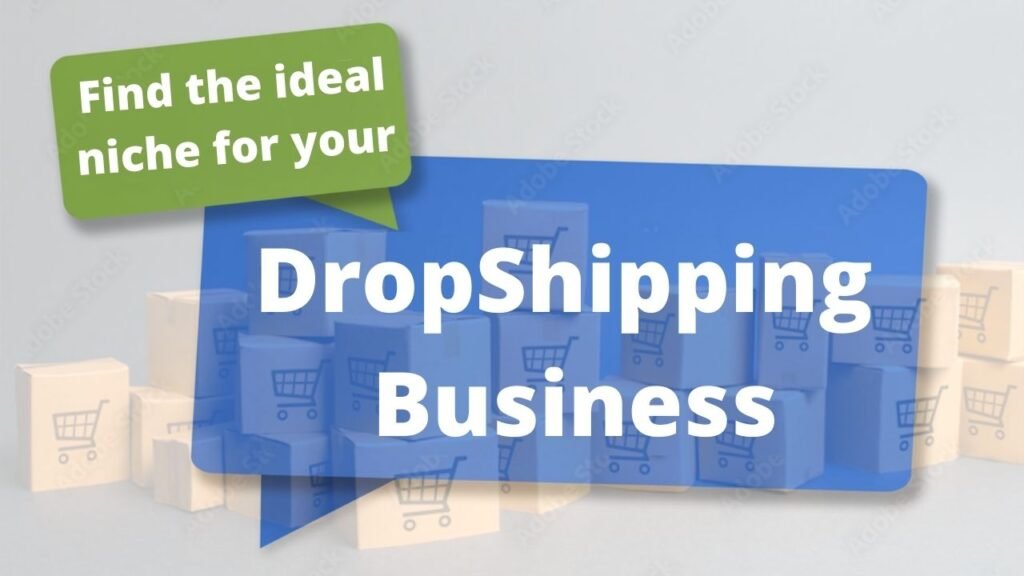 Encontre o nicho ideal para o seu negócio de dropshipping