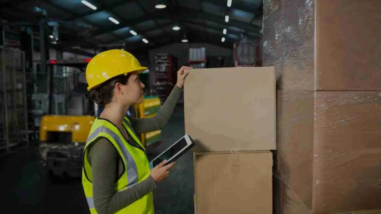 Why will the Package be Held in Customs & How Long Will It Be Stuck? 1 Por que o pacote ficará retido na alfândega e por quanto tempo ele ficará retido?