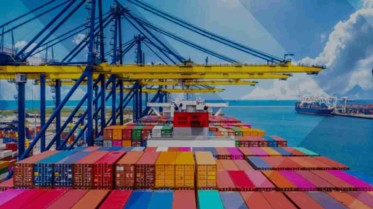 O que é Drayage? Significado, Classificação, Taxa de Drayage e Mais | XH