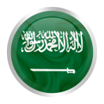 Shipping from China to Saudi Arabia